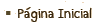 Página Inicial