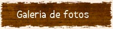 Galeria de Fotos